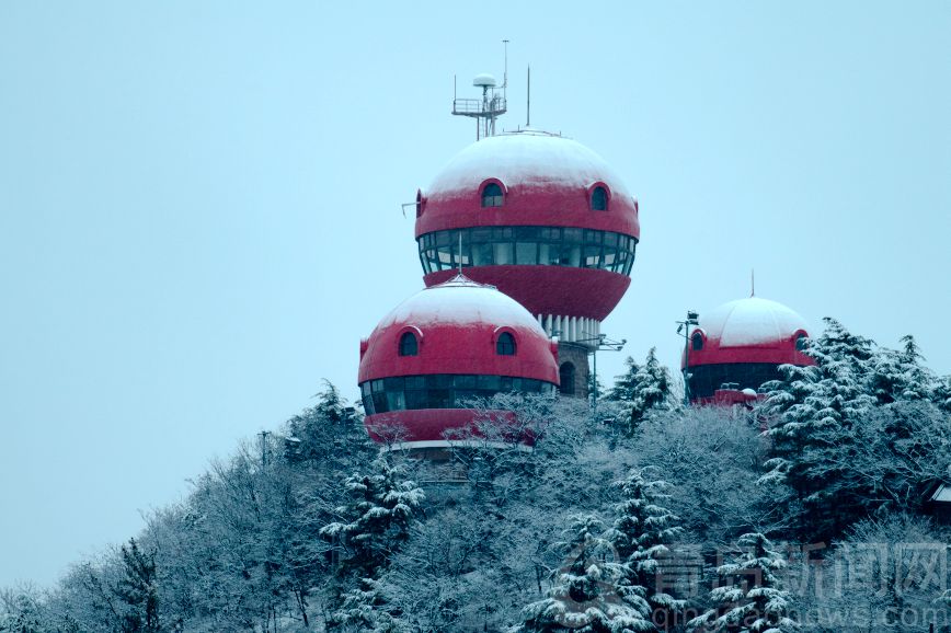 昨夜今晨，青岛又下雪啦！