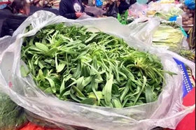 头茬野菜新鲜上市 青岛人快来尝鲜！（附挖野菜全攻略）