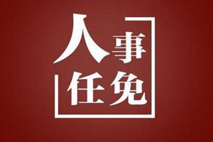 最新！青岛发布一批人事任免通知