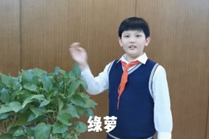 青岛市实验小学“云端植树”播种春天希望