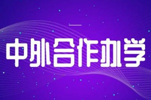 山东获批2个中外合作办学本科教育项目