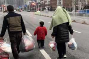 一家4口在华南海鲜市场43天未感染 知情人讲述始末