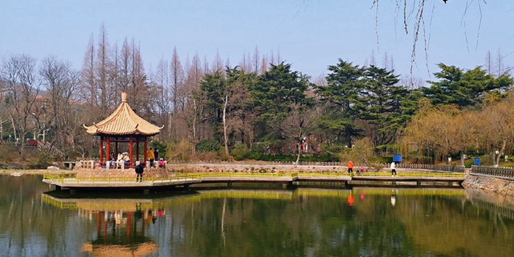  青岛景区稳步“重启”中山公园单日游客量破万