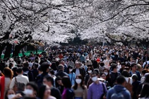 人从众！日本公园因赏樱挤爆，大批居民围观奥运圣火