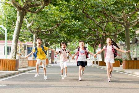 月底前完成开学核验！关于开学，山东多市有新动作