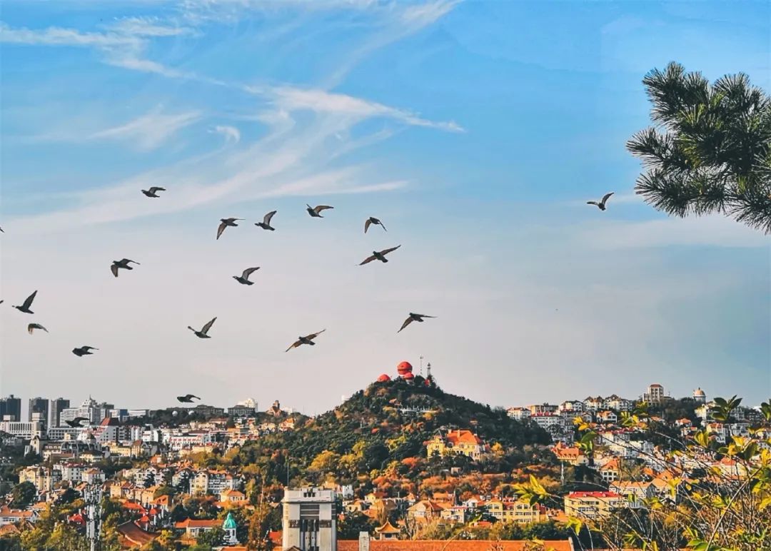 「城市」在青岛，这也许是你现在最想做的15件事，第一件就让人激动！