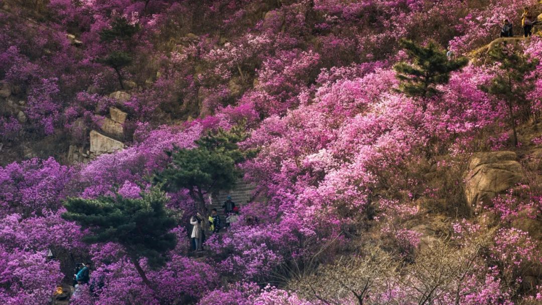 「城市」在青岛，这也许是你现在最想做的15件事，第一件就让人激动！