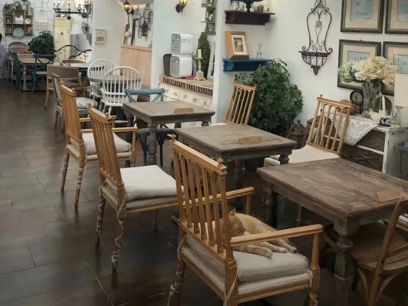 「城市」在青岛，这也许是你现在最想做的15件事，第一件就让人激动！