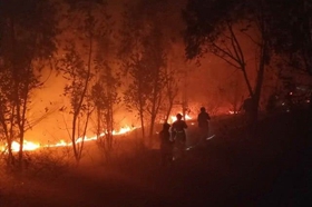 西昌遇难队员来自当地专业打火队 刚组建3个月