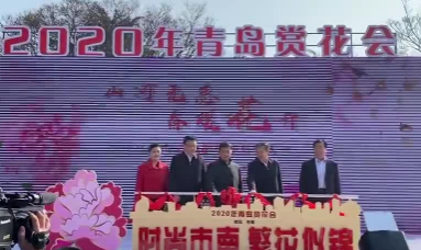 你想要的踏青赏花路线来了！2020青岛赏花会启幕