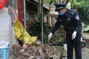 广西崇左警方收缴非法猎捕工具 护卫自然保护区野生动物安全