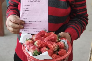 莱西：农品“身份证”让百姓放心“购”