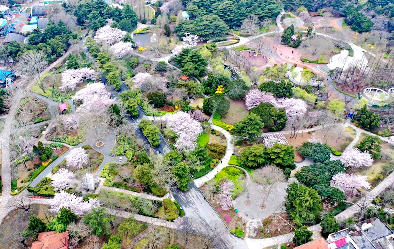 养眼！航拍俯瞰中山公园 这里像是一个彩色拼图板