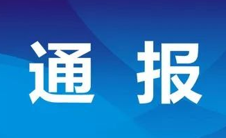 对抗组织审查、不担当不作为，山东2市通报4起典型问题