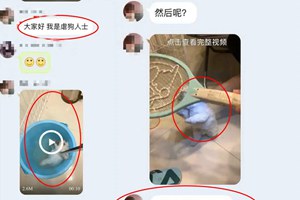 研究生虐狗疑再犯，南通大学回应