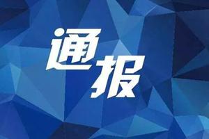 关于武汉市新冠肺炎确诊病例数确诊病例死亡数订正情况的通报