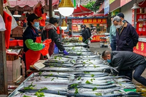 买海货这里是个好去处 品种齐全价格又实惠