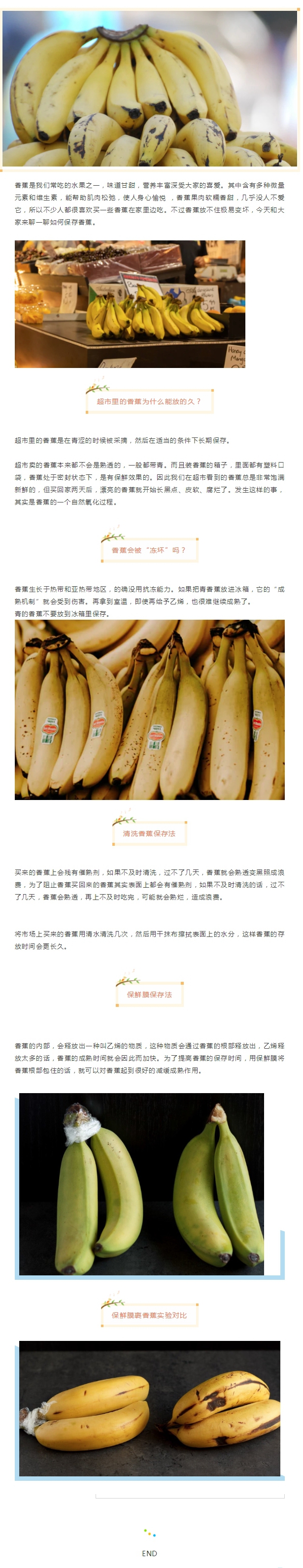 香蕉@香蕉放两天会变黑？教你几招 香蕉能多放一段时间