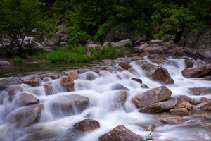 雨水充沛 崂山九水十八潭流水潺潺美景重现