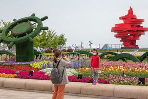 五月花海，初夏绽放