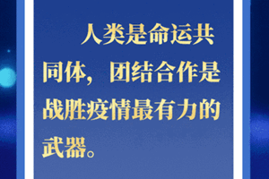 尽己所能、团结合作 四个关键词读懂习近平最新讲话