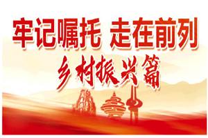 山东深入贯彻落实习近平总书记重要指示要求纪实⑤：助力乡村振兴，给农业插上科技翅膀