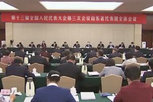 孟凡利参加全国人代会山东代表团审议