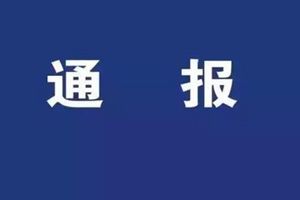 12岁女孩被多名男生殴打！官方通报来了