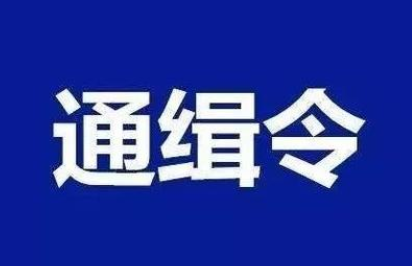 A级通缉令