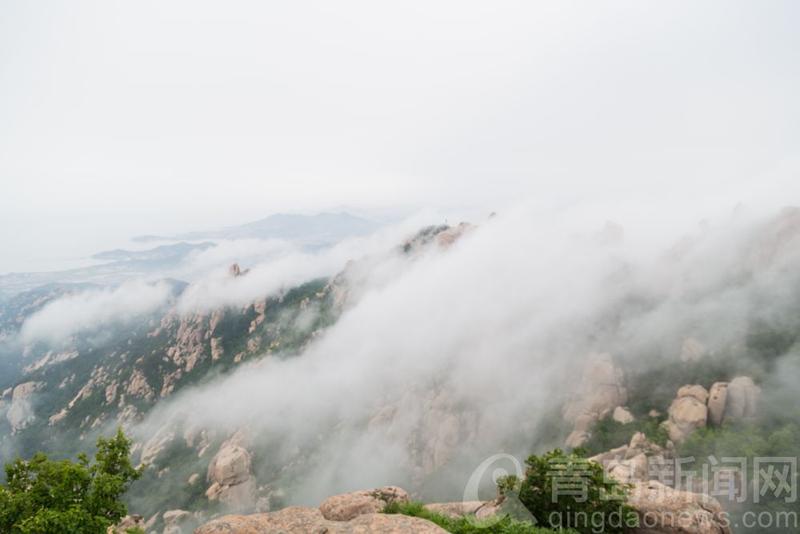 崂山初夏登崂山巨峰 乳白色云雾笼罩 奇峰异景若隐若现