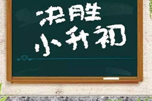 @家长 2020年市北区小学升初中政策来了！