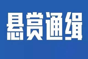 悬赏110万！看到这3人，请立即报警…