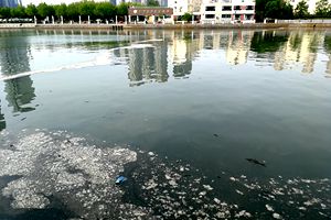 爱青岛·我要说|这条河污水横流，垃圾遍地 居民急盼清理