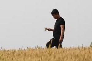 小麦丰收在望 种粮大户的芒种之“忙”