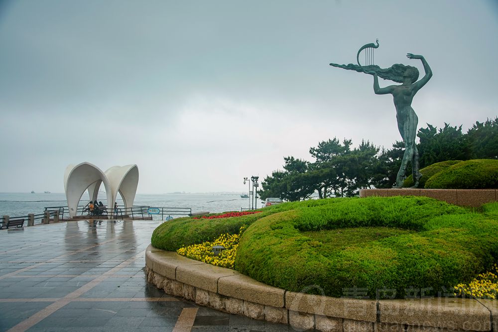 夏日小青岛公园绵绵雨中更显别样魅力