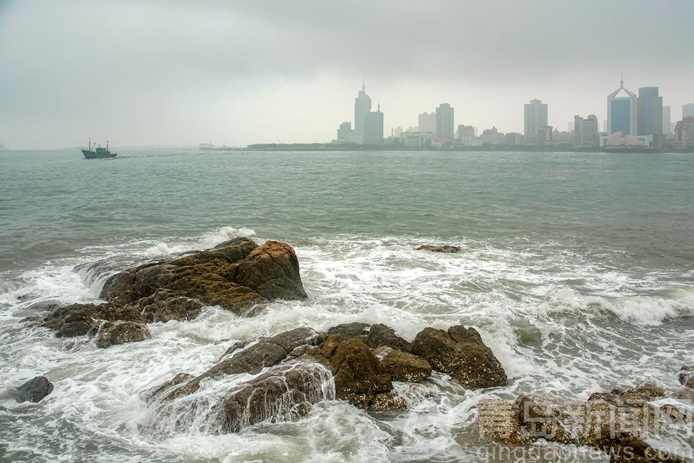 小青岛夏日小青岛公园 绵绵雨中更显别样魅力