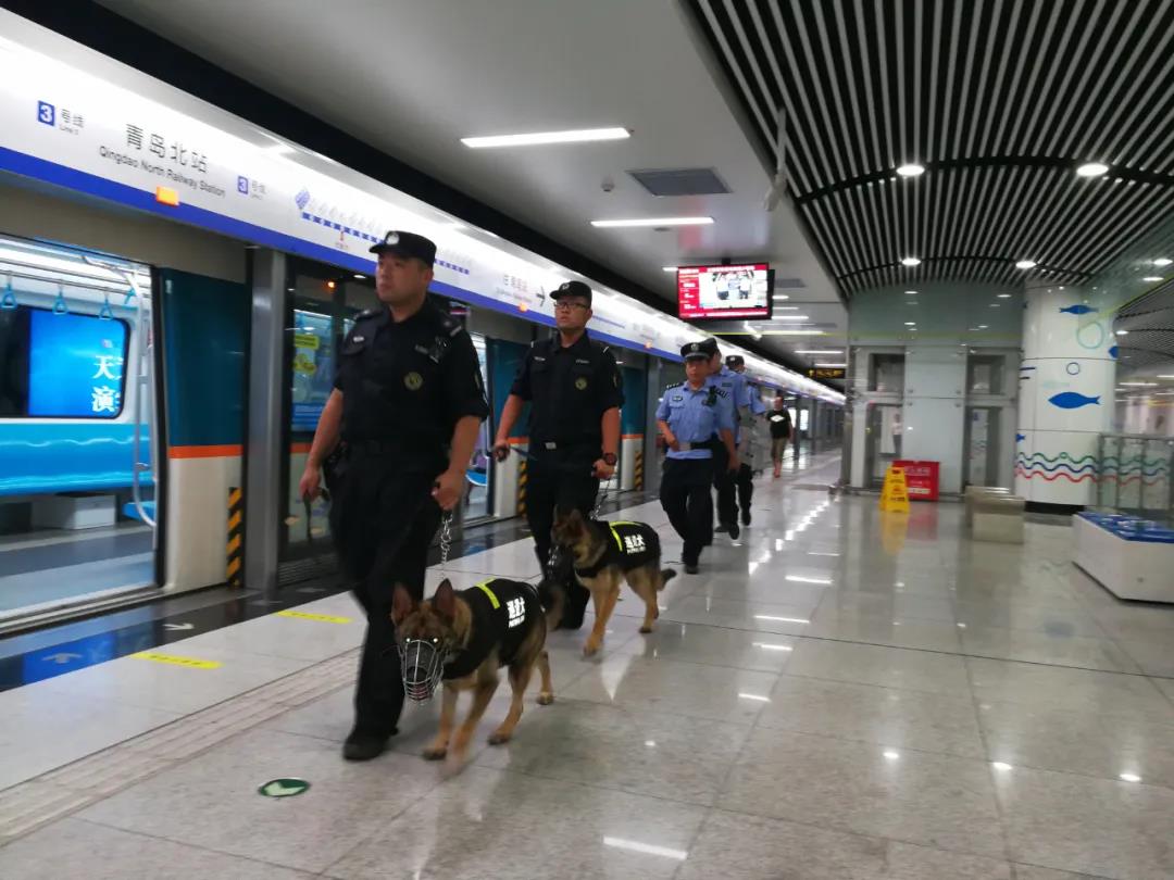 乘风破浪乘风破浪汪汪队