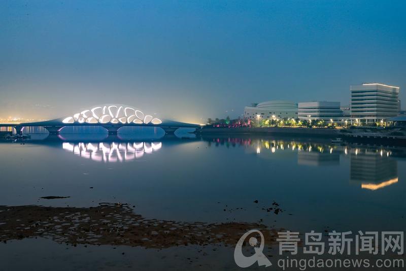 青岛|夏夜珊瑚贝桥 给人童话世界里空灵梦幻的感觉