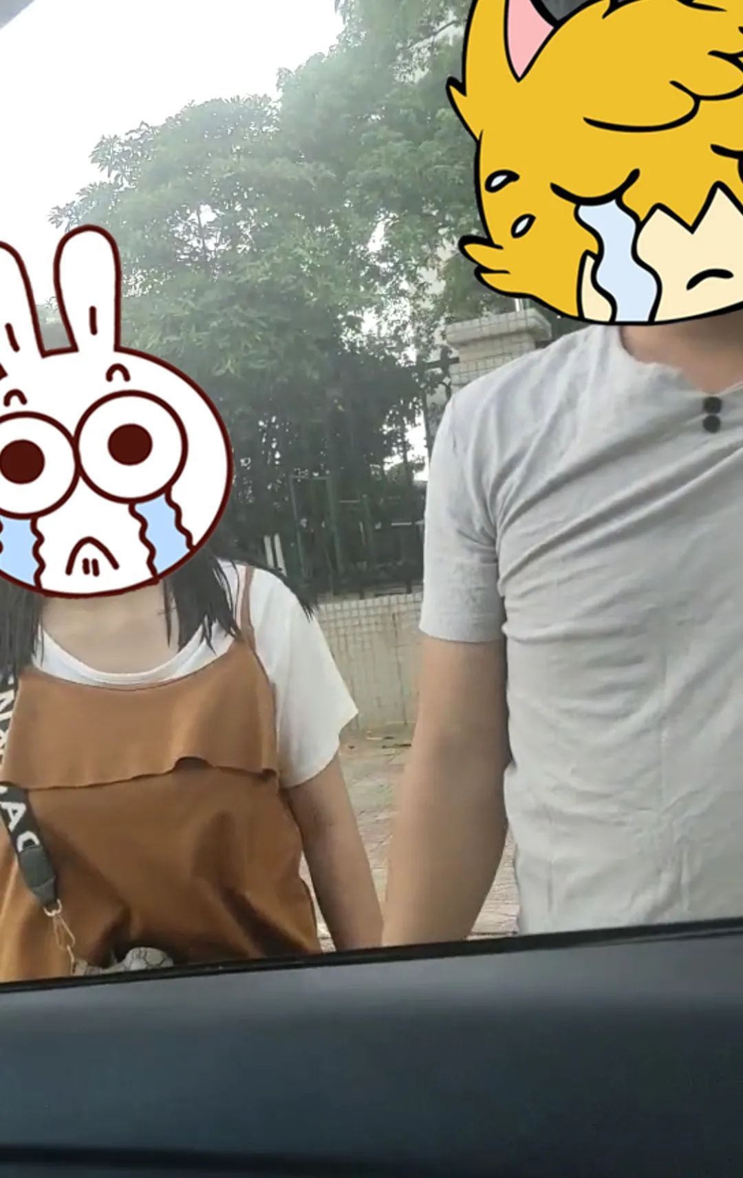 垃圾桶|垃圾桶弃婴案侦破 其父母被采取刑事强制措施