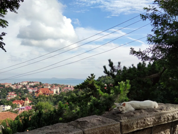 暴雨|暴雨来啦！6～7日我市将有大范围强降雨天气