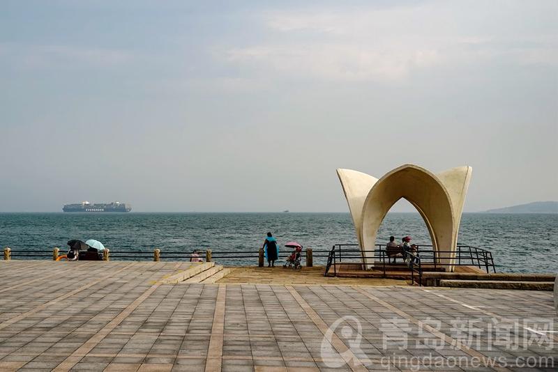 小青岛|打卡美丽的小青岛 那是名副其实的海上花园