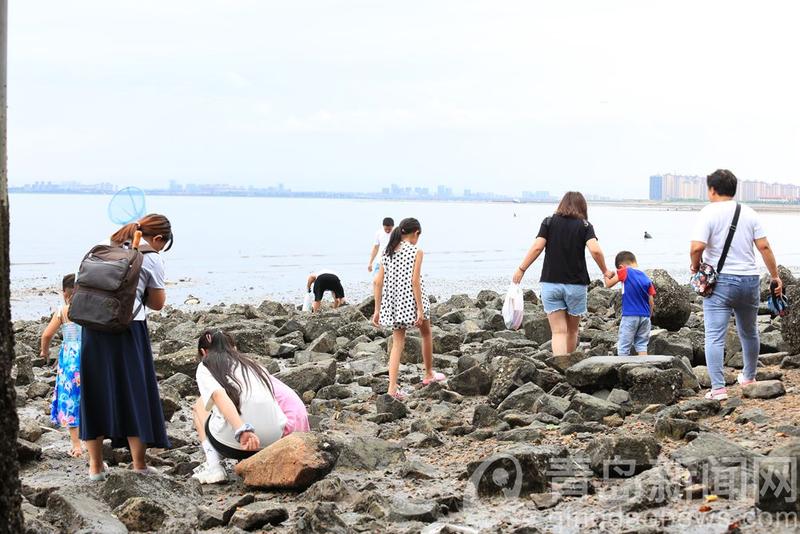 立秋|立秋日正逢退大潮 实拍在青岛海边赶海的孩子们