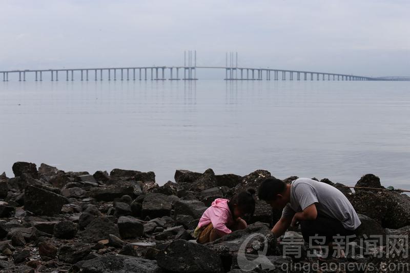 立秋|立秋日正逢退大潮 实拍在青岛海边赶海的孩子们