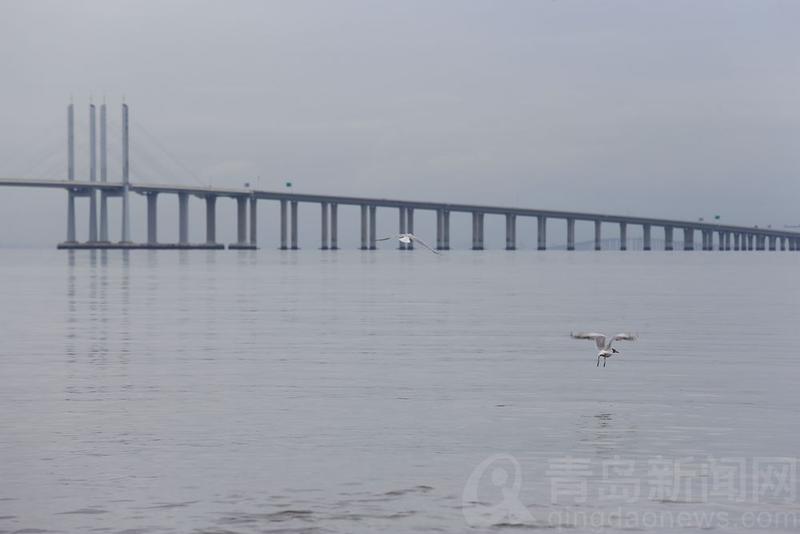 立秋|立秋日正逢退大潮 实拍在青岛海边赶海的孩子们