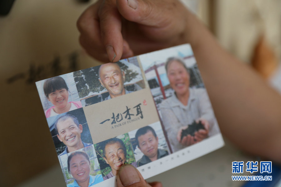 新疆|【幸福花开新边疆】一把木耳