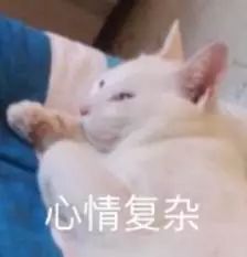 恋爱|小伙恋爱4年花了60万元 没想到女友早就嫁作他人妻