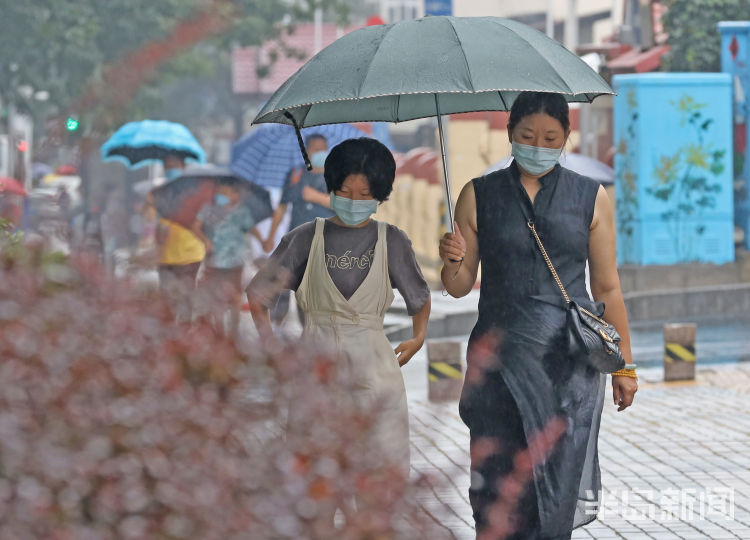 秋雨|秋雨送清凉 青岛暂别桑拿天