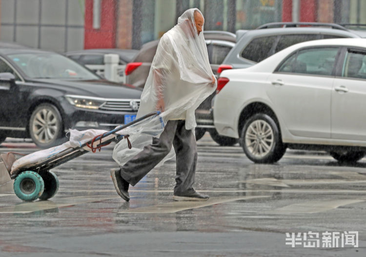 秋雨|秋雨送清凉 青岛暂别桑拿天