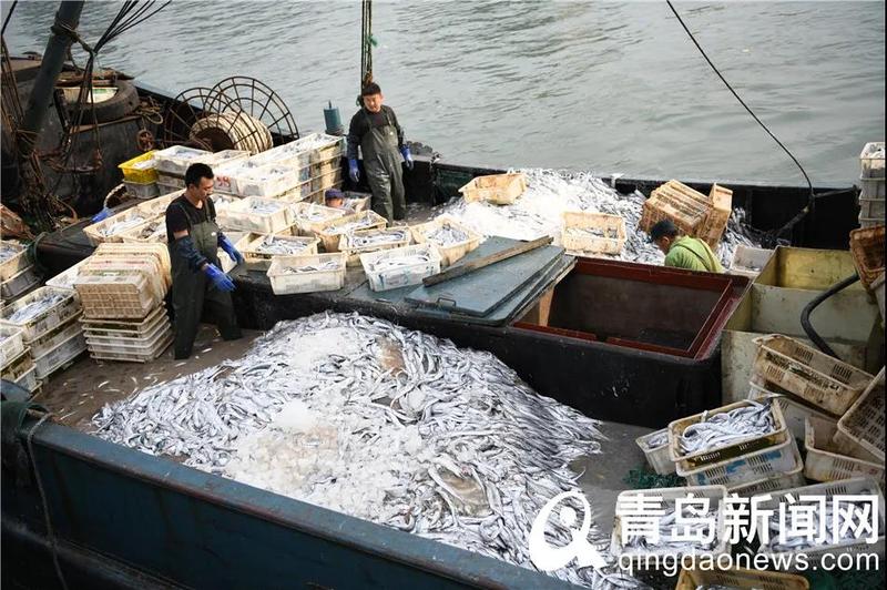 开海|开海倒计时！最全海鲜选购攻略奉上！