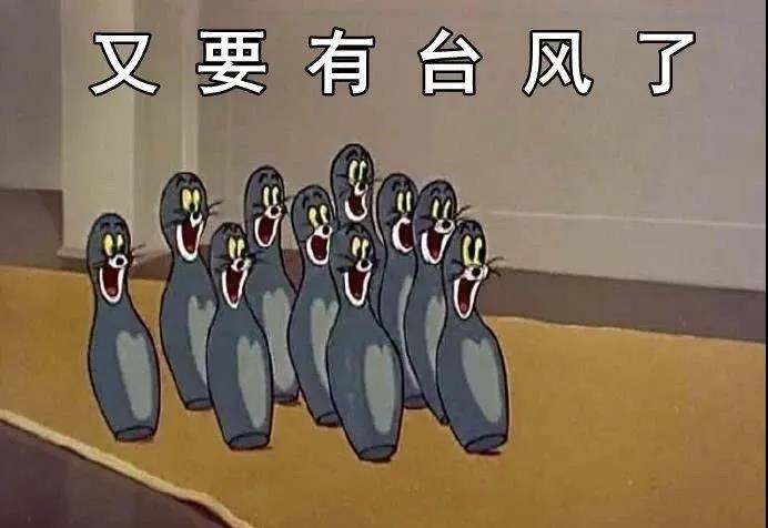 台风|9号台风“美莎克”生成！雷雨+阵风8级！青岛天气...